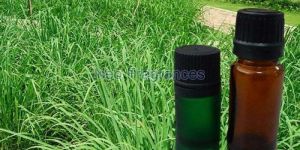 Citronella Java Oil