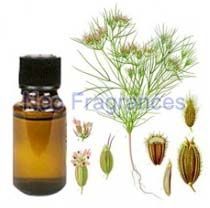 Cumin Seed Oil