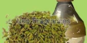 Fennel Seed Oil