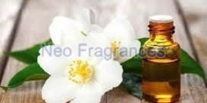 Jasmine Absolute Oil ( Grandiforum).