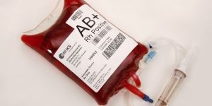 Blood Bag - 350 Ml