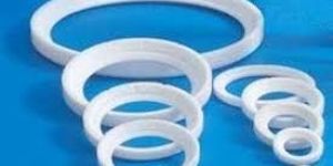 PTFE Valve Seat
