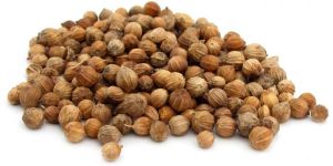 Coriander Seeds