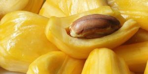 Jackfruit Pulp