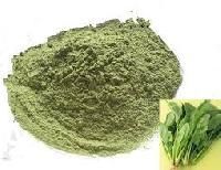 Spinach Powder