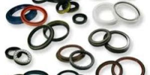 Oil Seals