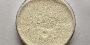 Tamarind Kernel Powder