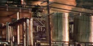 Environmental Audit Reports