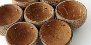 Coconut Shell