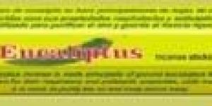 Eucalyptus Incense Sticks