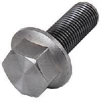 Galvanized Iron Bolts