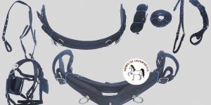 Single or Double Driving Economic Synthetic