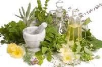 Herbal Veterinary Medicine