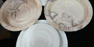 Laminated Paper Plates