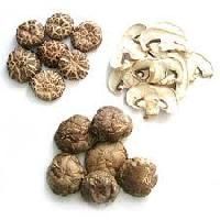 Dried Mushroom