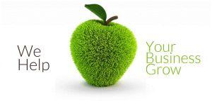 Digital Marketing Services