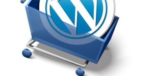 Wordpress Theme Development Services