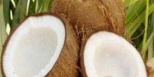 Fresh Mature Coconut