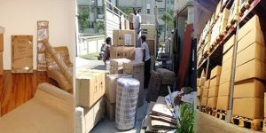 Domestic Packers and Movers