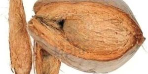 Semi Husked Coconut