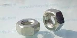 SS Hex Nuts