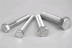 Stainless Steel Hex Bolts