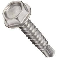 Hex Head Screw