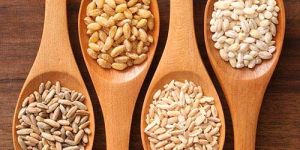 Food Grains