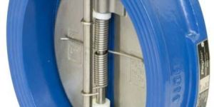 Dual Plate Check Valve