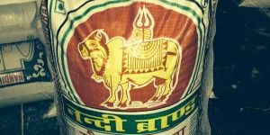 Nandi Brand Whole Wheat Flour