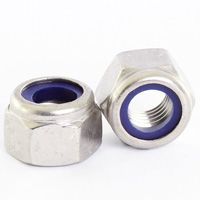 SS Nylock Hex Nut