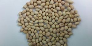 Hps Groundnut Kernal