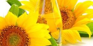 Sunflower Oil