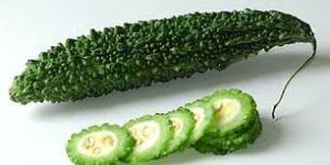 Fresh Bitter Gourd