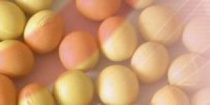 Standardised Soya Lecithin