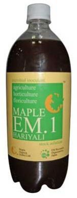 Maple Em.1 Hariyali
