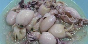 Cuttlefish