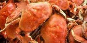 Fresh Crabs