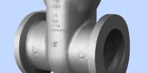 Gate Valve Casting