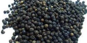 Black Pepper Seeds