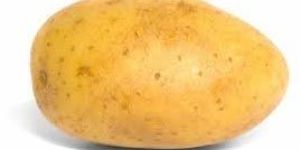 Fresh Potato
