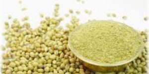 Coriander Powder