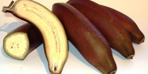 Fresh Red Banana