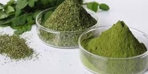 Moringa Leaf Powder