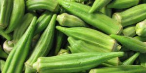Fresh Okra