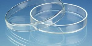 Petri Dish