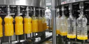 Fruit Juice Processing Plant