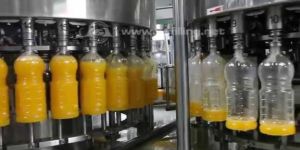 Mango Pulp and Juice Plant