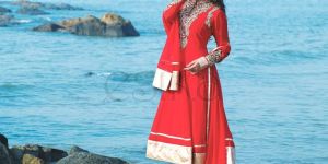 Net Anarkali Suit