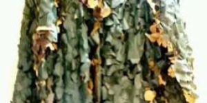 Camouflaging Equipments